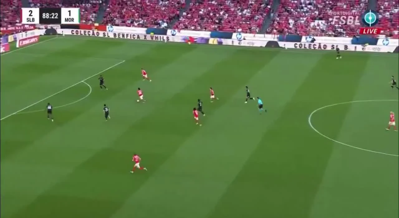 zaslepka skrotu video