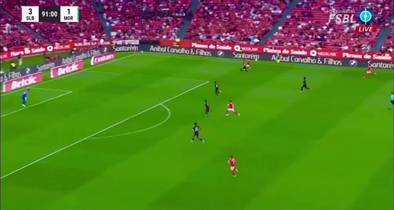 zaslepka skrotu video