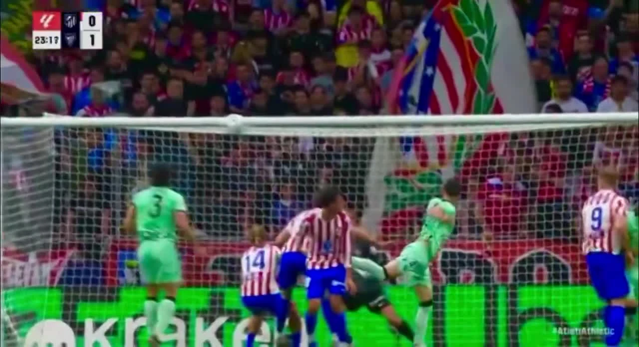 zaslepka skrotu video