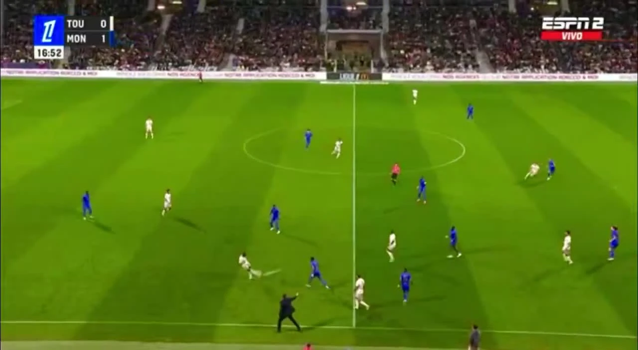 zaslepka skrotu video