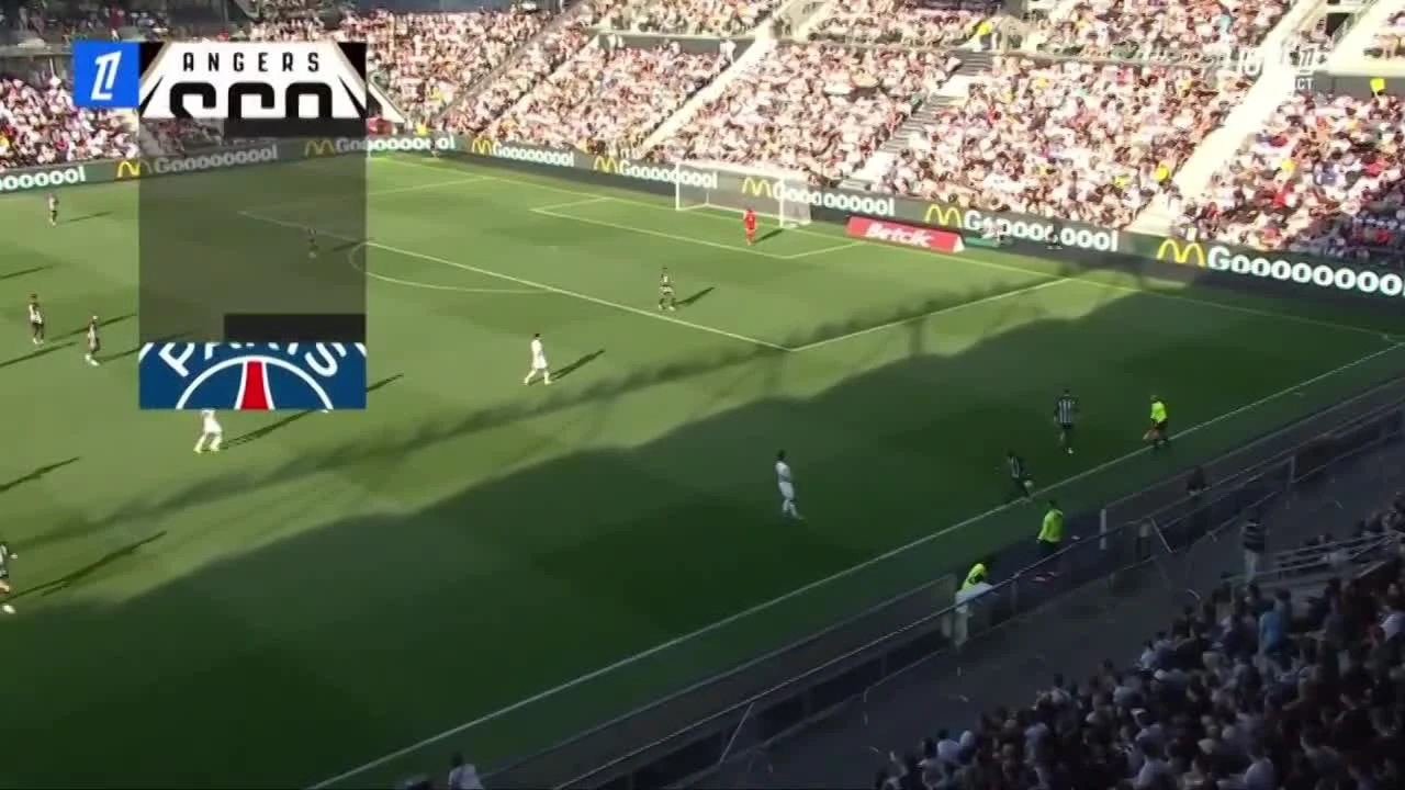 zaslepka skrotu video