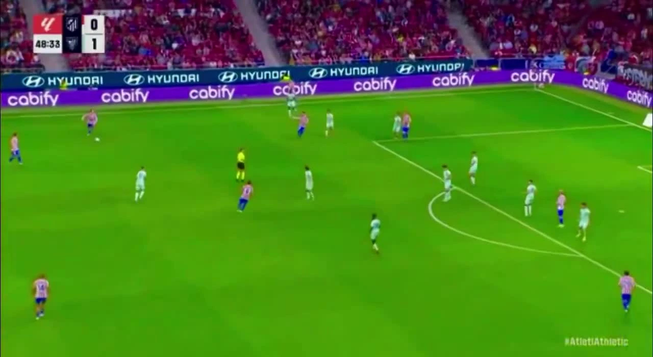 zaslepka skrotu video