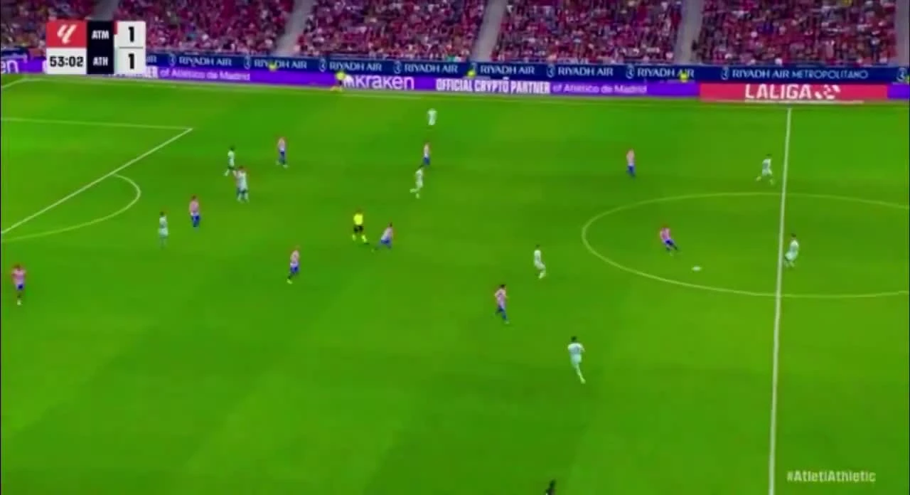 zaslepka skrotu video