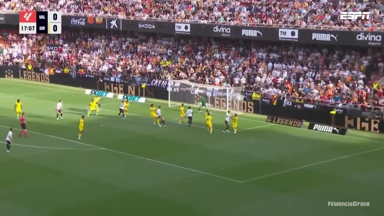 zaslepka skrotu video