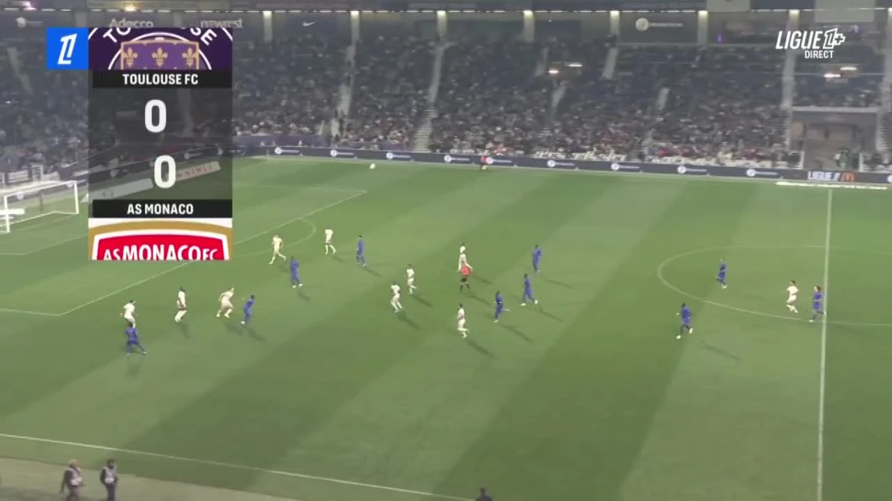 zaslepka skrotu video