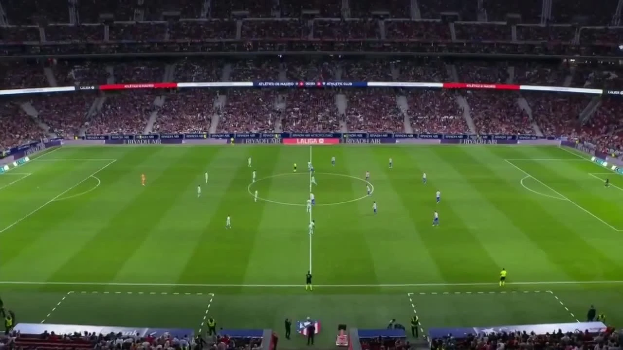 zaslepka skrotu video