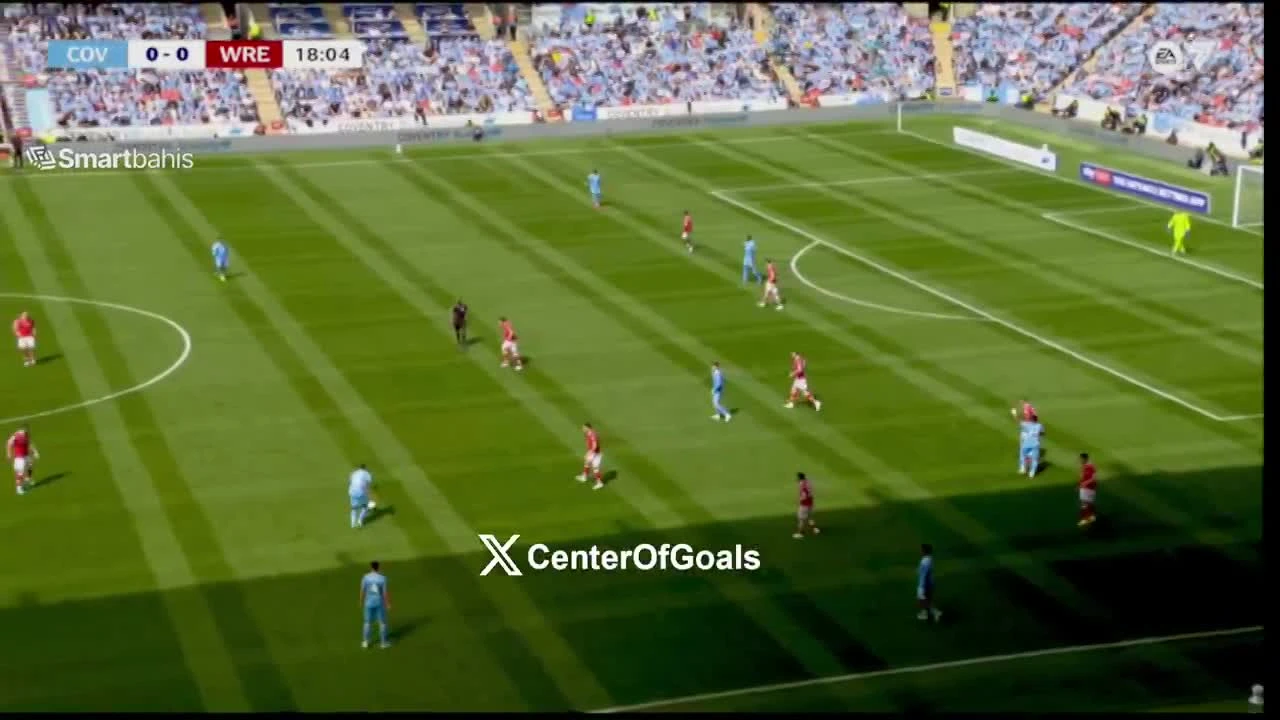 zaslepka skrotu video