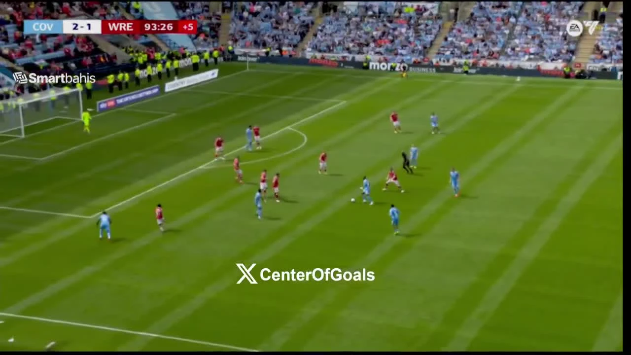 zaslepka skrotu video