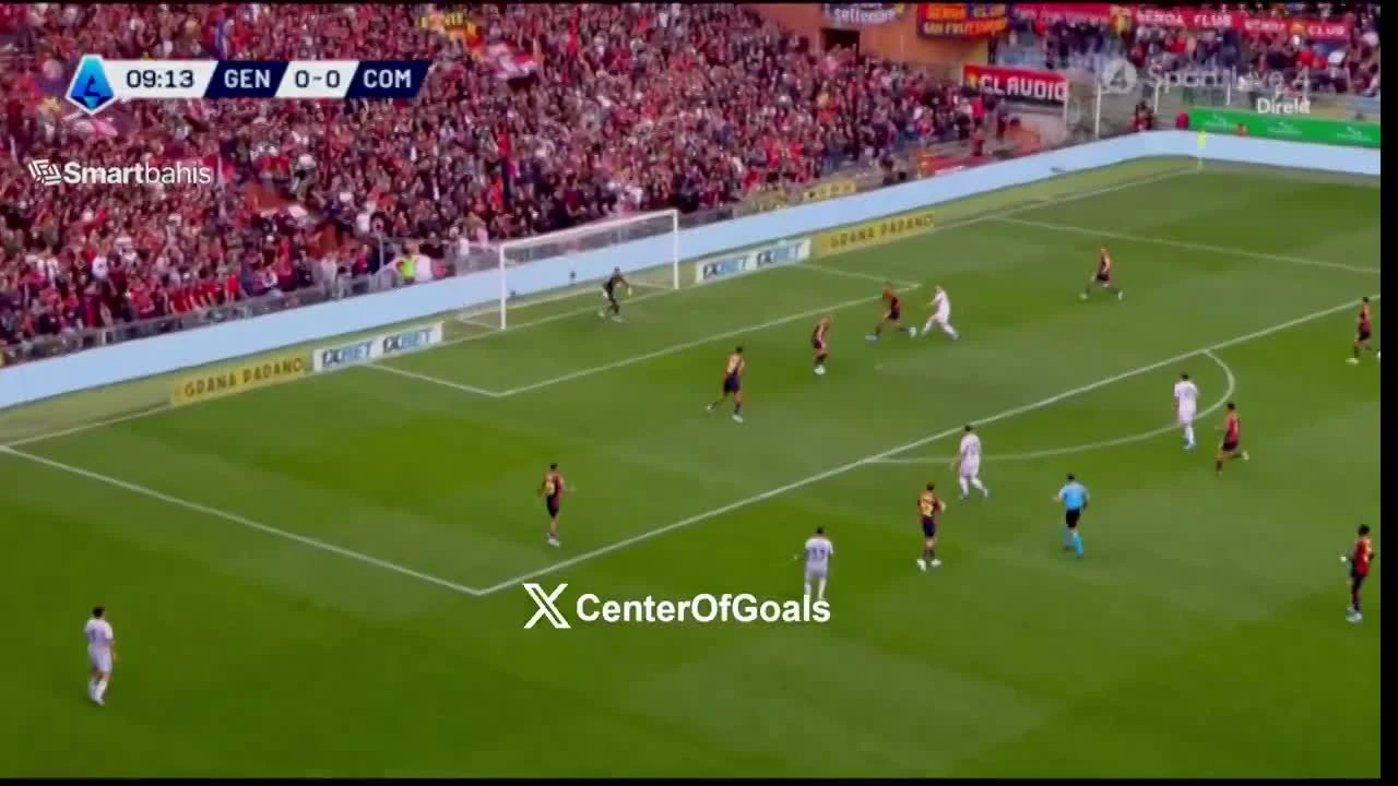 zaslepka skrotu video