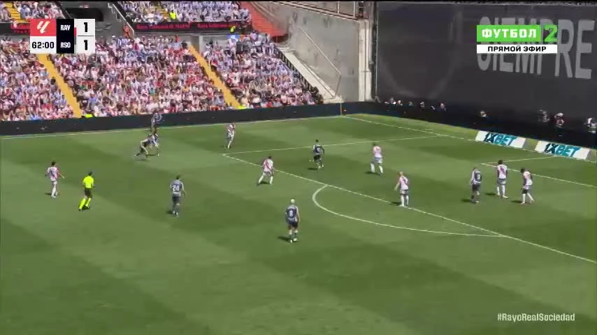 zaslepka skrotu video