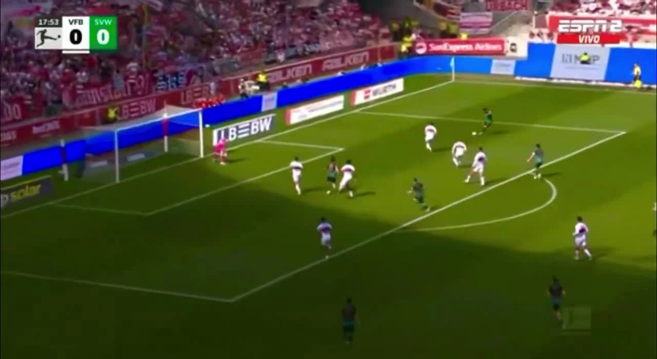 zaslepka skrotu video