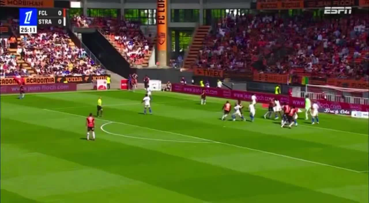 zaslepka skrotu video