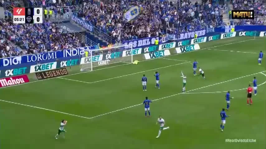 zaslepka skrotu video