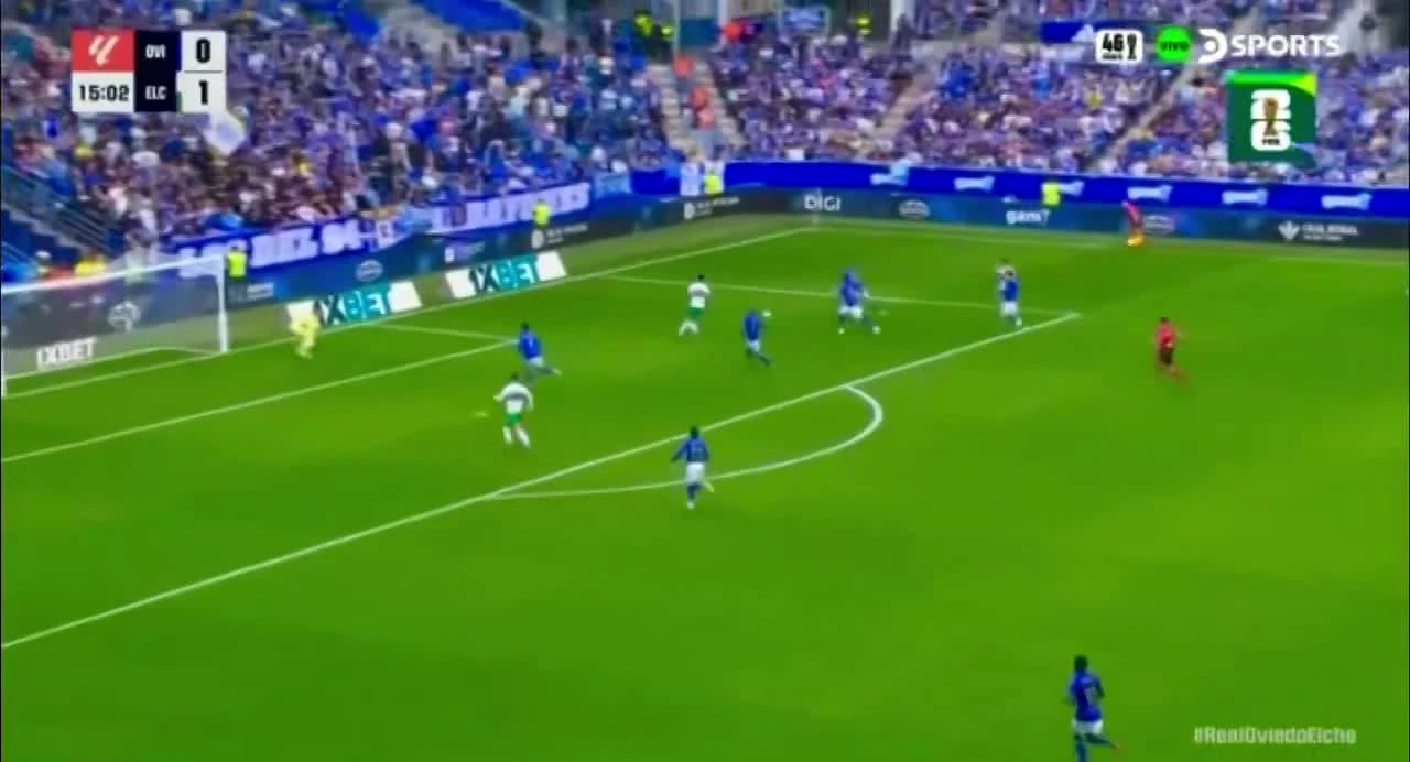 zaslepka skrotu video