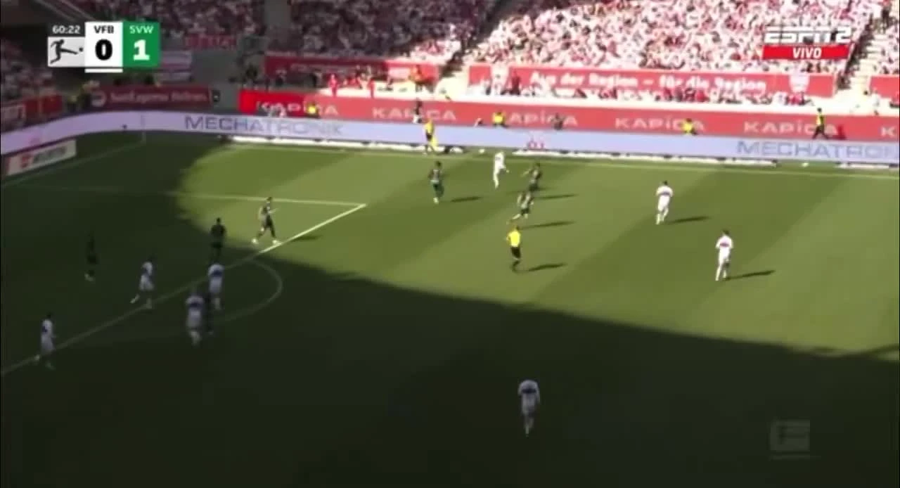 zaslepka skrotu video