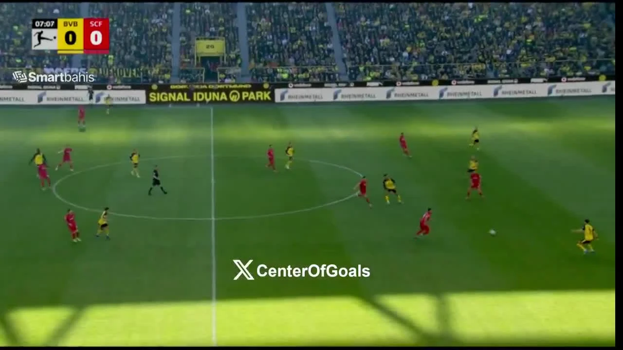 zaslepka skrotu video