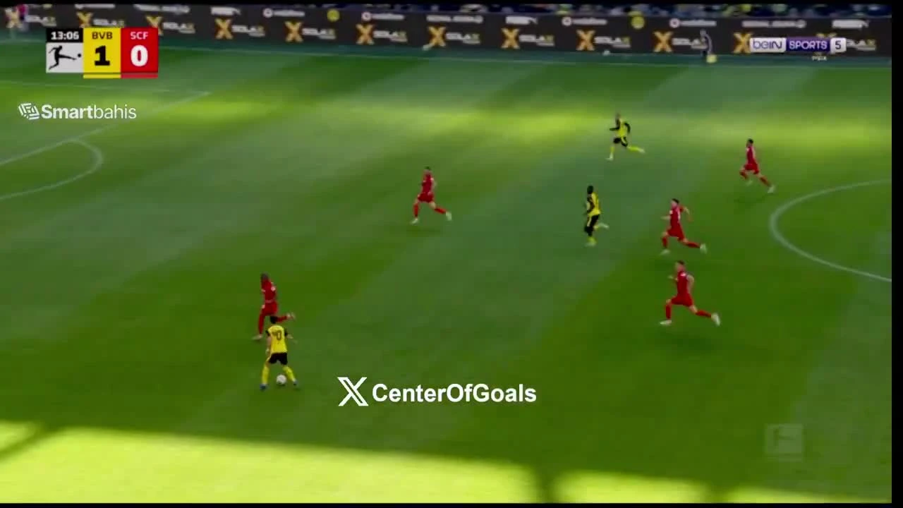 zaslepka skrotu video