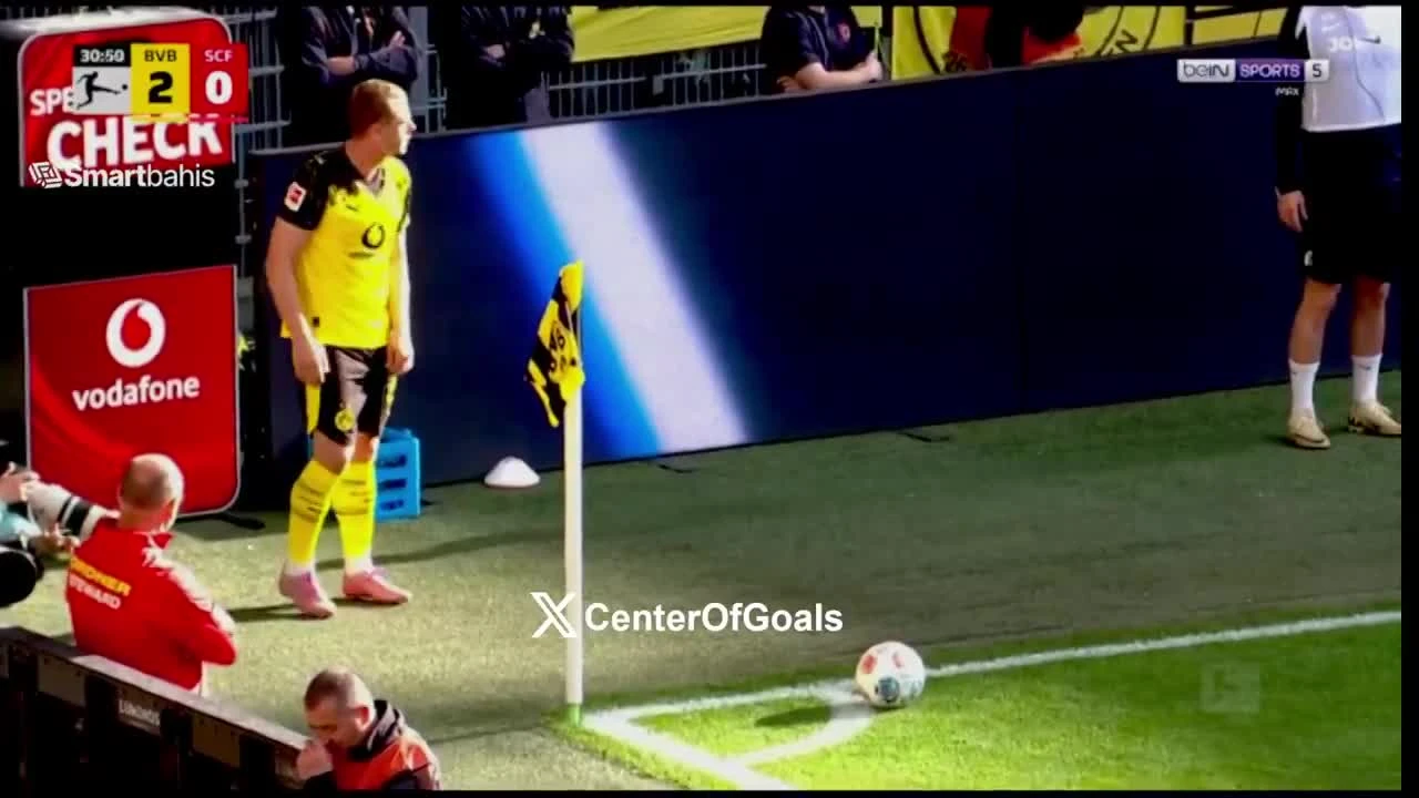 zaslepka skrotu video