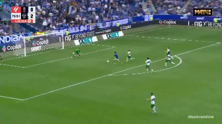 zaslepka skrotu video