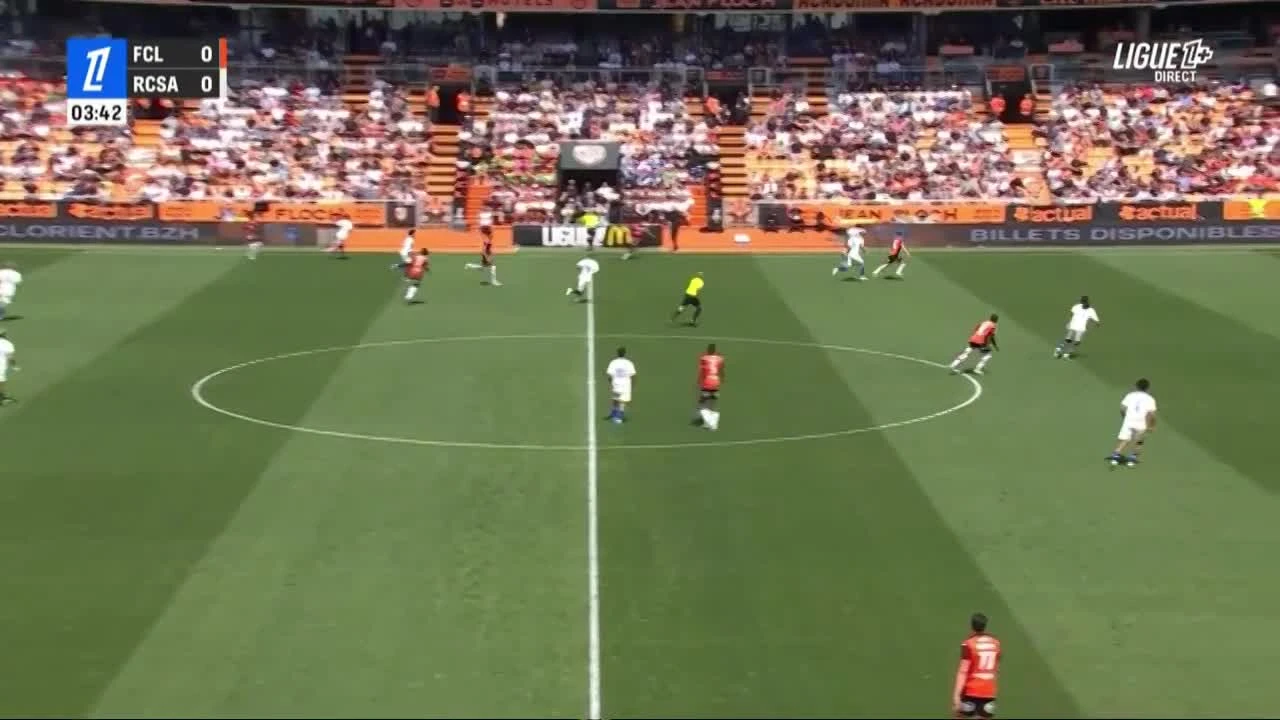 zaslepka skrotu video