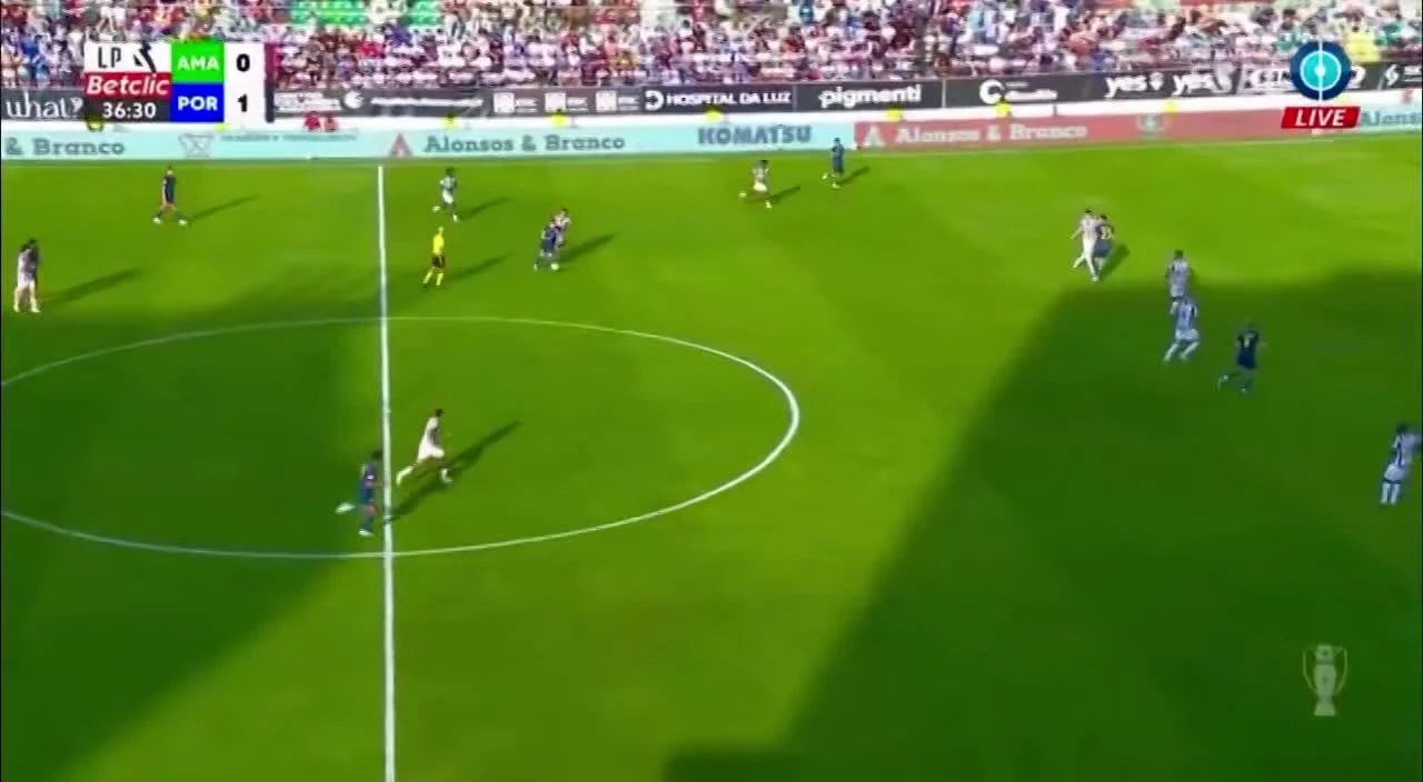 zaslepka skrotu video