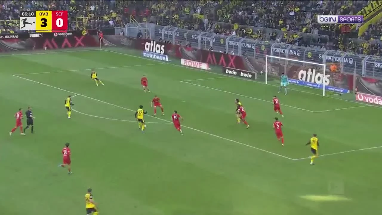 zaslepka skrotu video