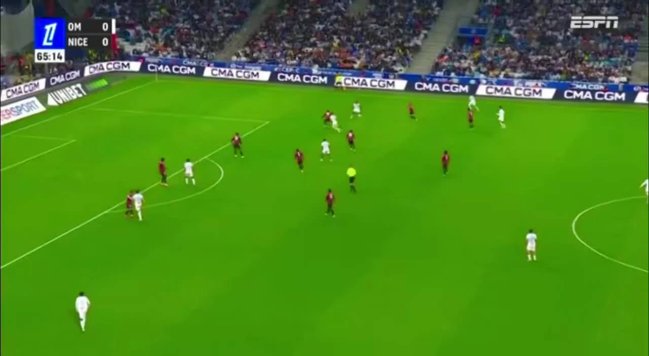 zaslepka skrotu video