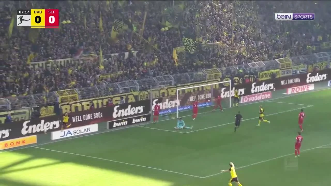 zaslepka skrotu video