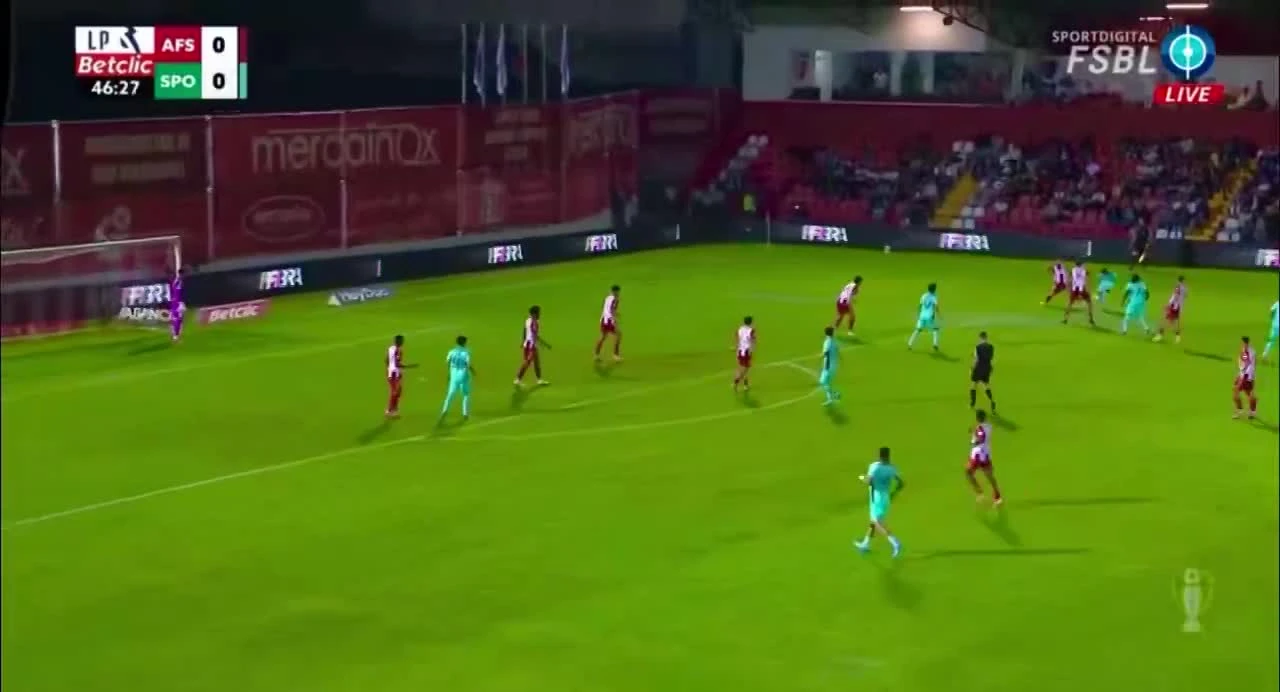 zaslepka skrotu video