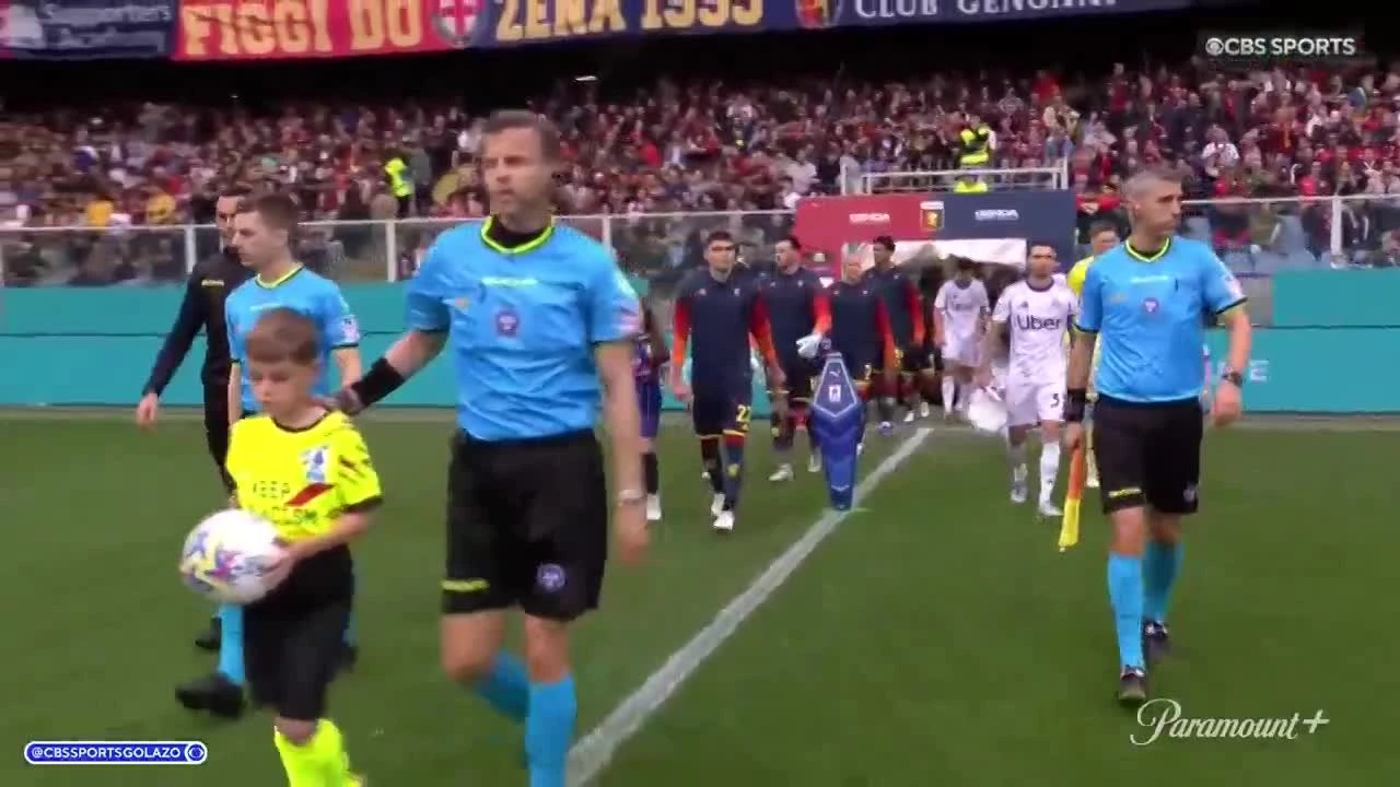 zaslepka skrotu video