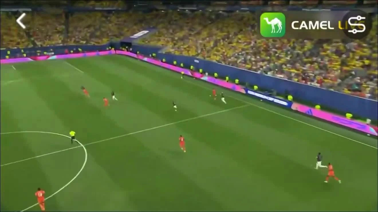 zaslepka skrotu video