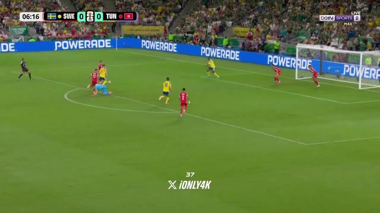 zaslepka skrotu video