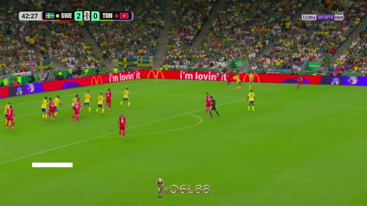 zaslepka skrotu video