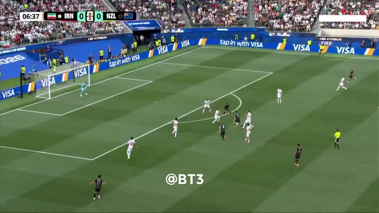 zaslepka skrotu video