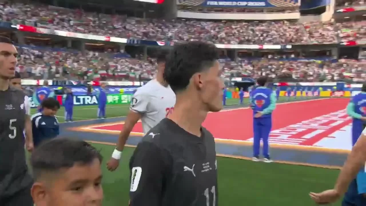 zaslepka skrotu video