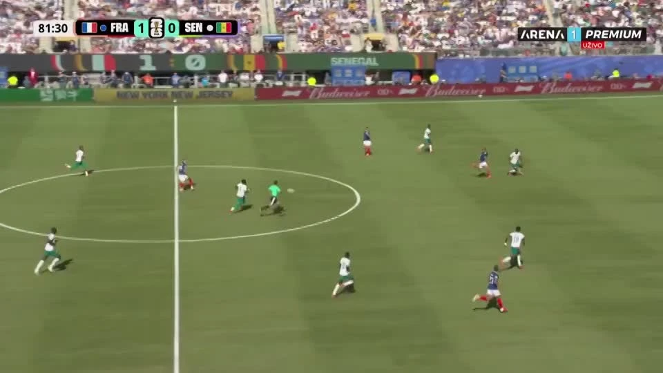 zaslepka skrotu video