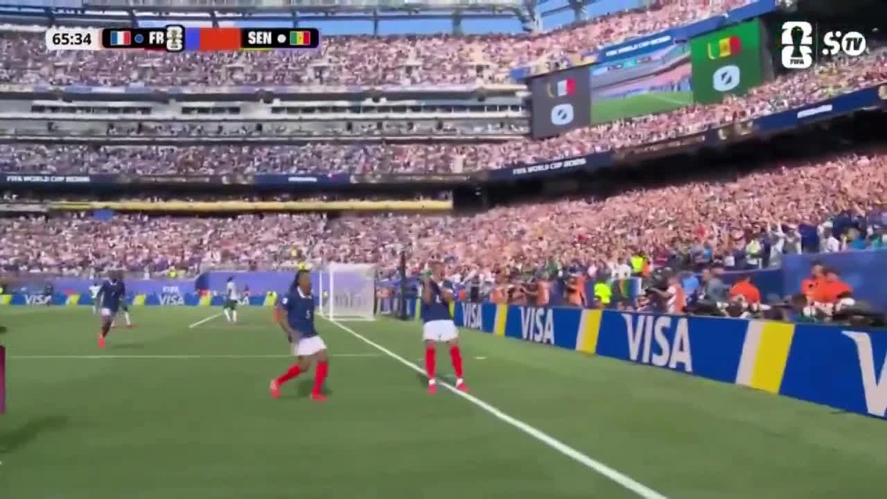 zaslepka skrotu video