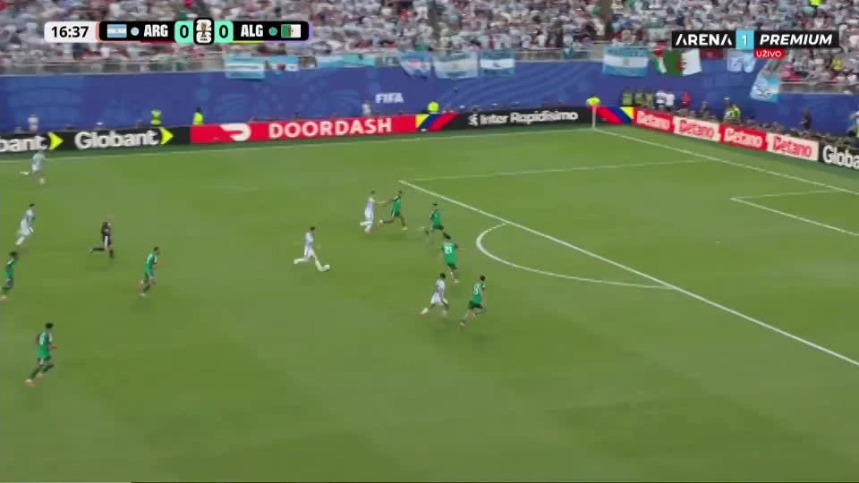 zaslepka skrotu video