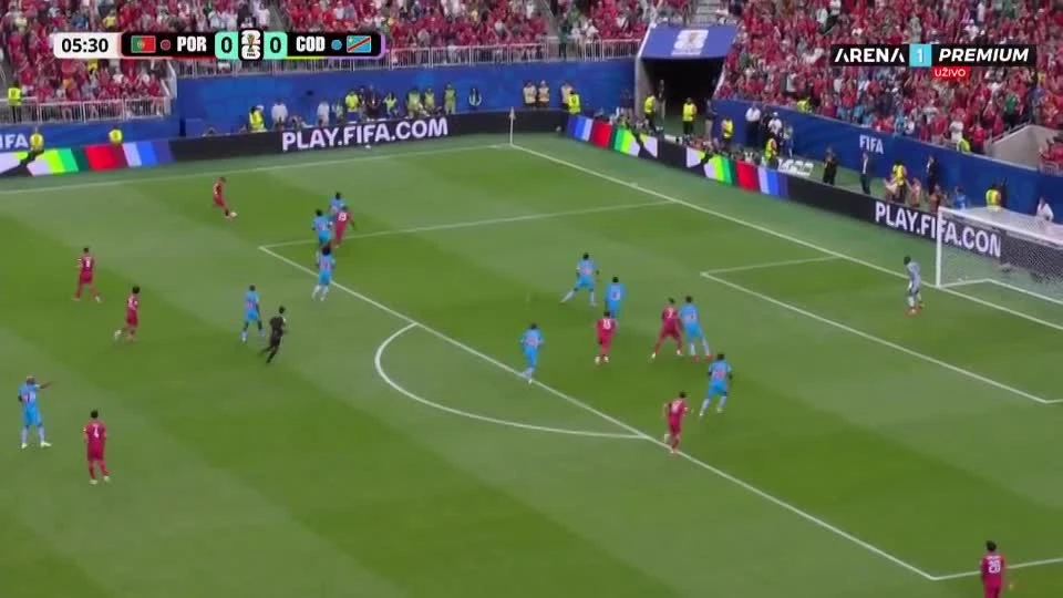 zaslepka skrotu video