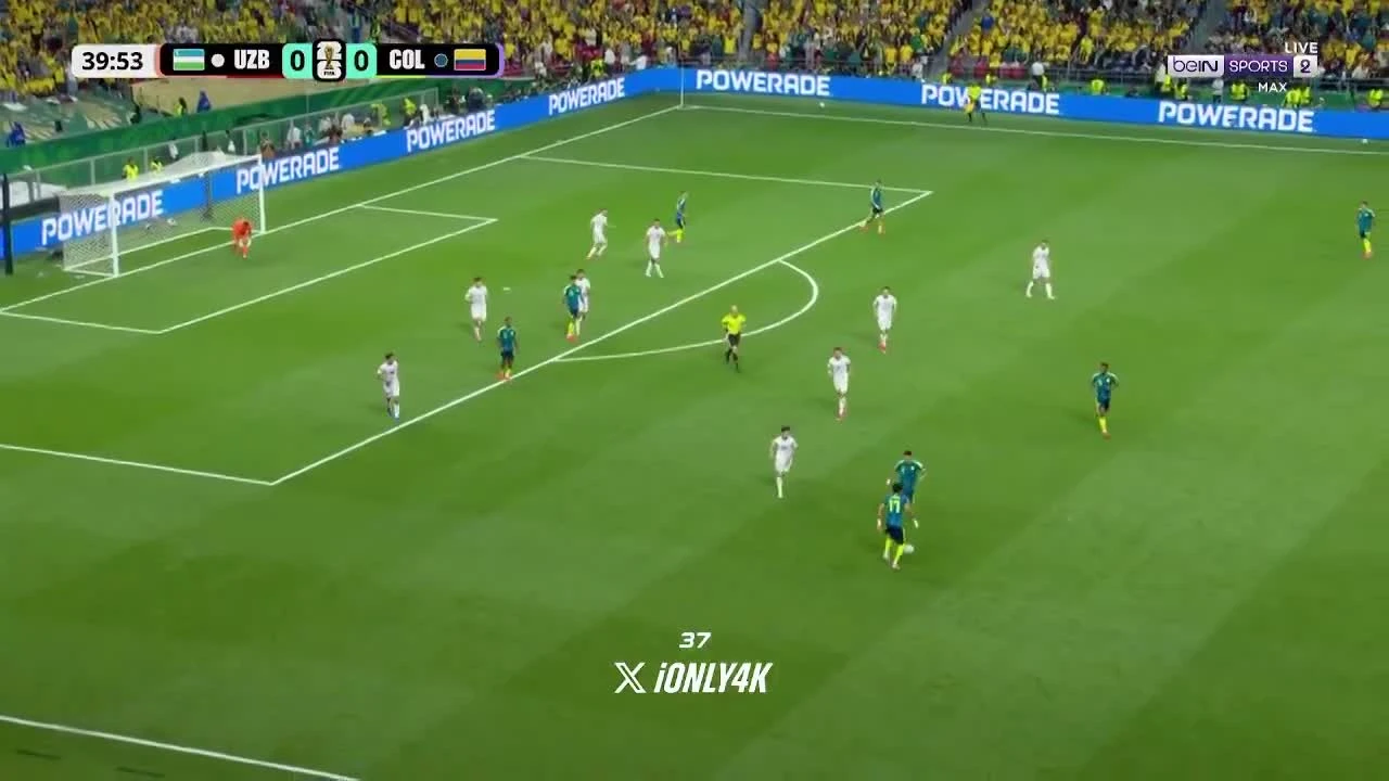 zaslepka skrotu video