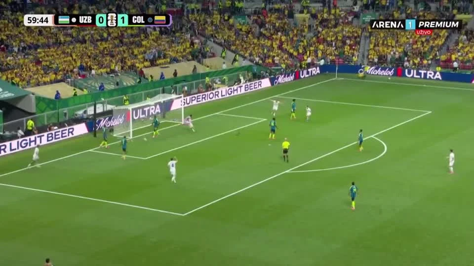 zaslepka skrotu video