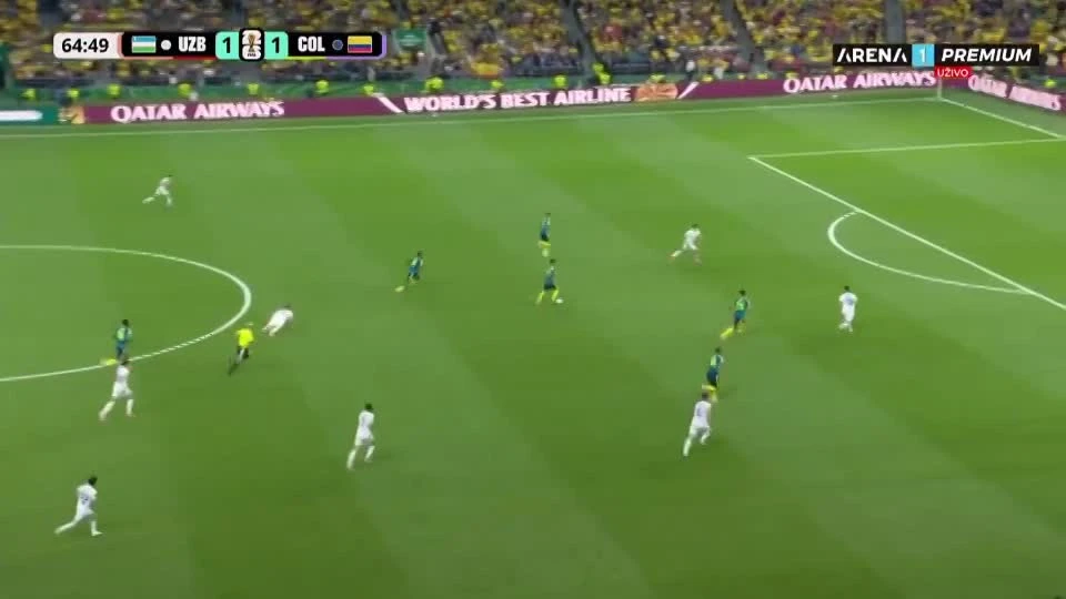 zaslepka skrotu video