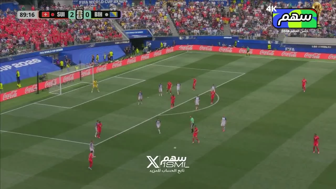 zaslepka skrotu video