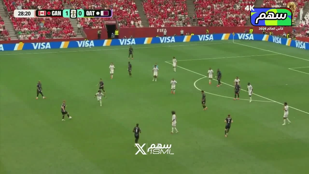 zaslepka skrotu video