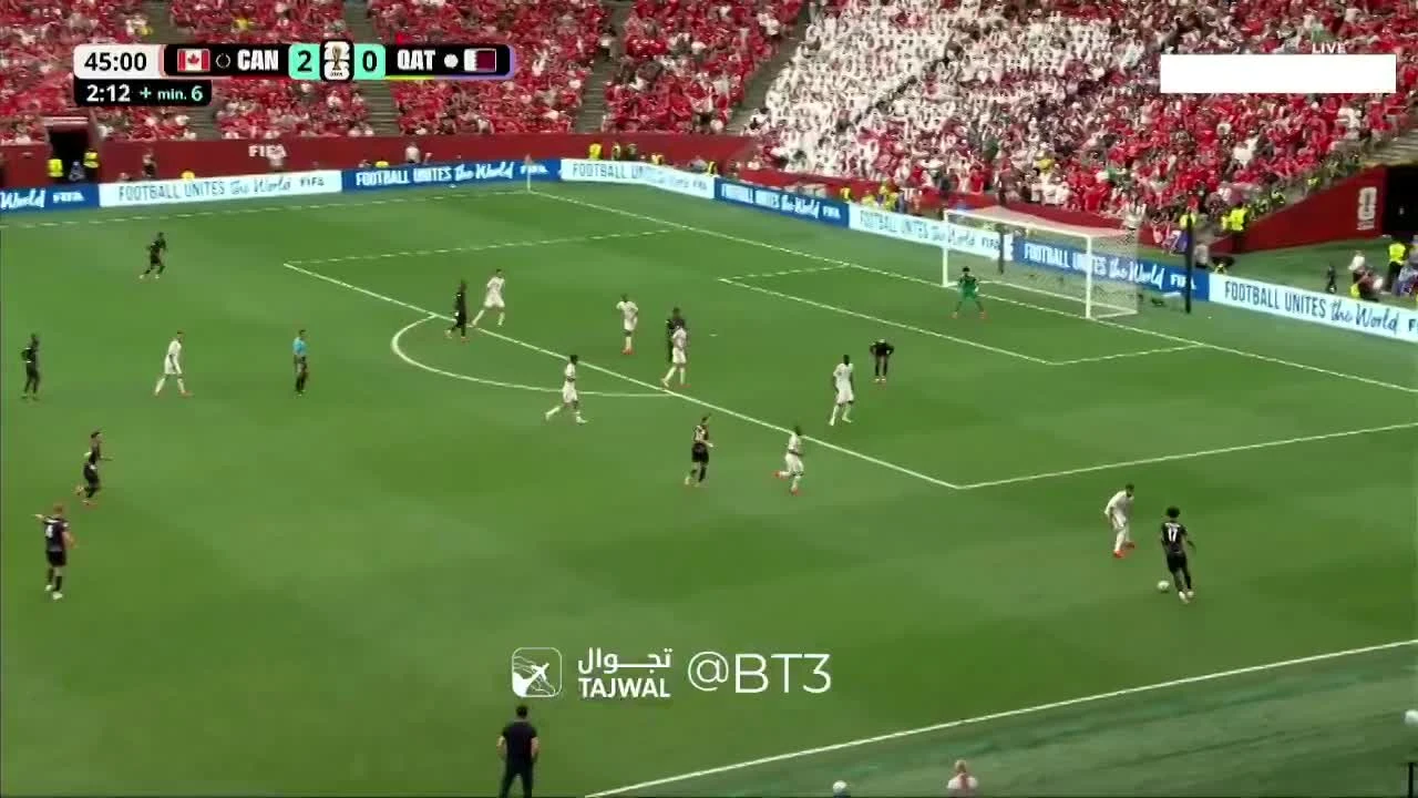 zaslepka skrotu video