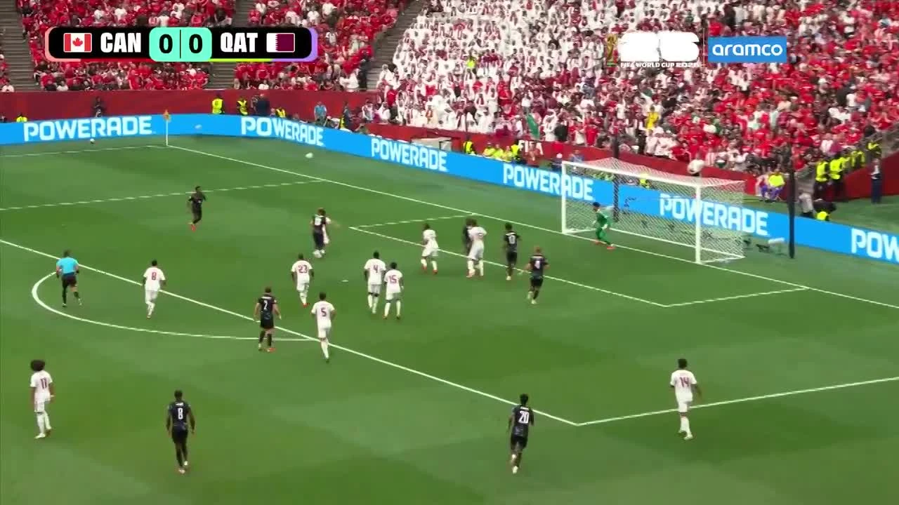 zaslepka skrotu video
