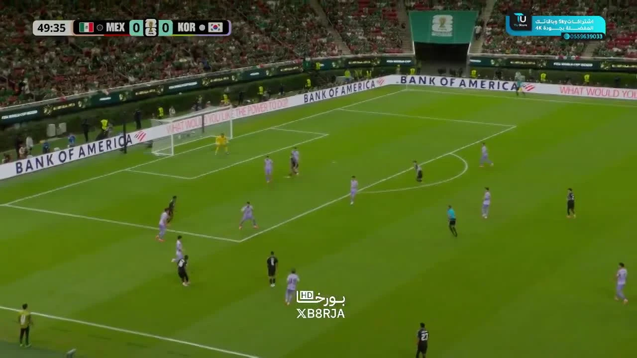 zaslepka skrotu video