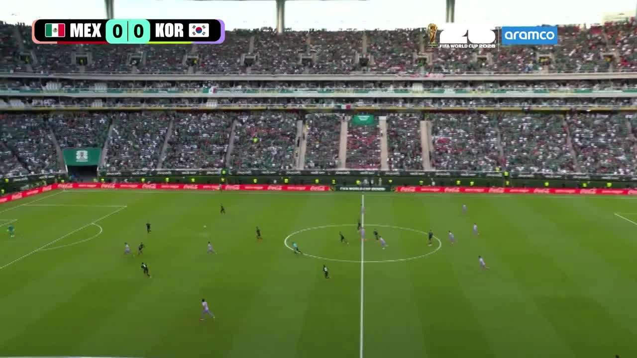 zaslepka skrotu video