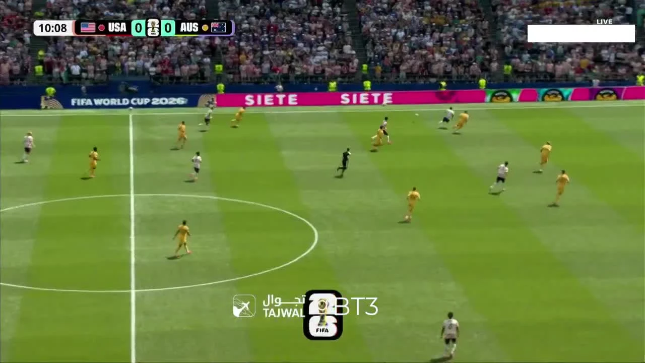 zaslepka skrotu video