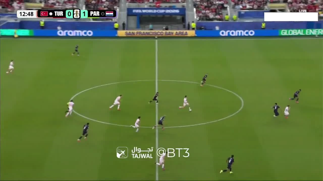 zaslepka skrotu video